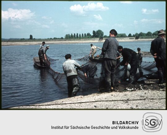 Fischer beim Einholen von Netzen während des Abfischens im Becken des Pumpspeicherkraftwerkes Niederwartha