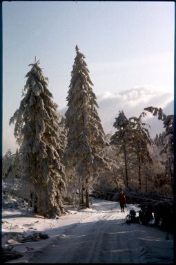 Bild: Auf dem verschneiten Kahleberg 1978
