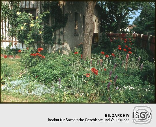 Dorfgarten in Nieder-Neundorf 1969