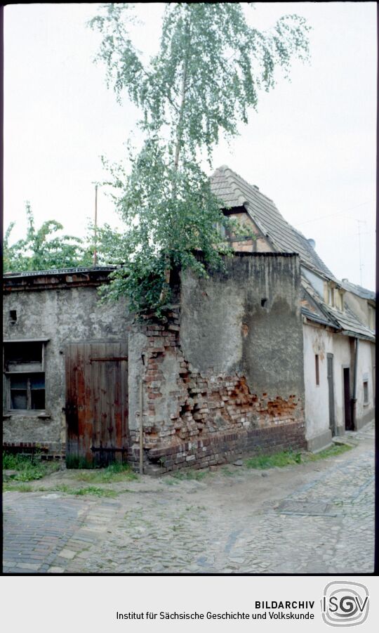 Klostergasse Pegau 1987. Aus einem Gebäude wächst eine Birke.