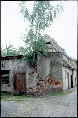 Bild: Klostergasse Pegau 1987. Aus einem Gebäude wächst eine Birke.