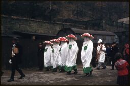 Bild: Umzug der Schifferfastnacht in Postelwitz 1959: Teilnehmer in Pilzverkleidung, auf der Vorderseite mir Kleeblättern und Zahlen, auf der Rückseite sthet 'LOTTO'