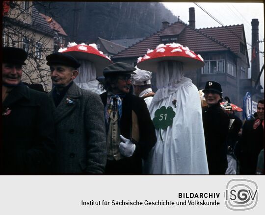 Umzug der Schifferfastnacht in Postelwitz 1959: verschiedene verkleidete Teilnehmer