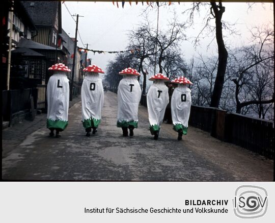 Umzug der Schifferfastnacht in Postelwitz 1959: