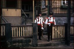 Bild: Umzug der Schifferfastnacht in Postelwitz 1959: drei verkleidete Männer mit Paddeln