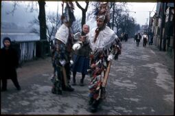 Bild: Umzug der Schifferfastnacht in Postelwitz 1959: Fleckelmänner