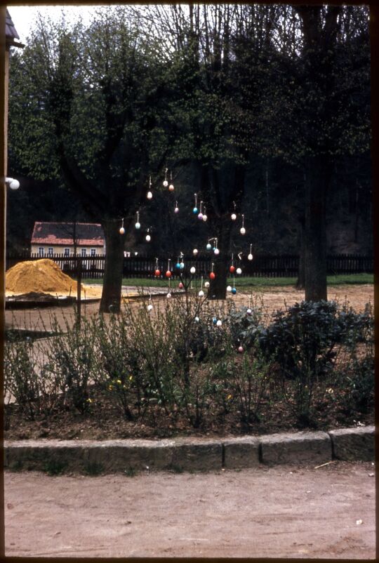 Baum, geschmückt mit Ostereiern am Plan in Porschdorf , Ostern 1957.