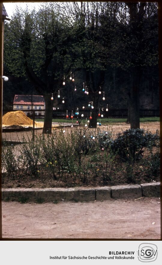 Baum, geschmückt mit Ostereiern am Plan in Porschdorf , Ostern 1957.