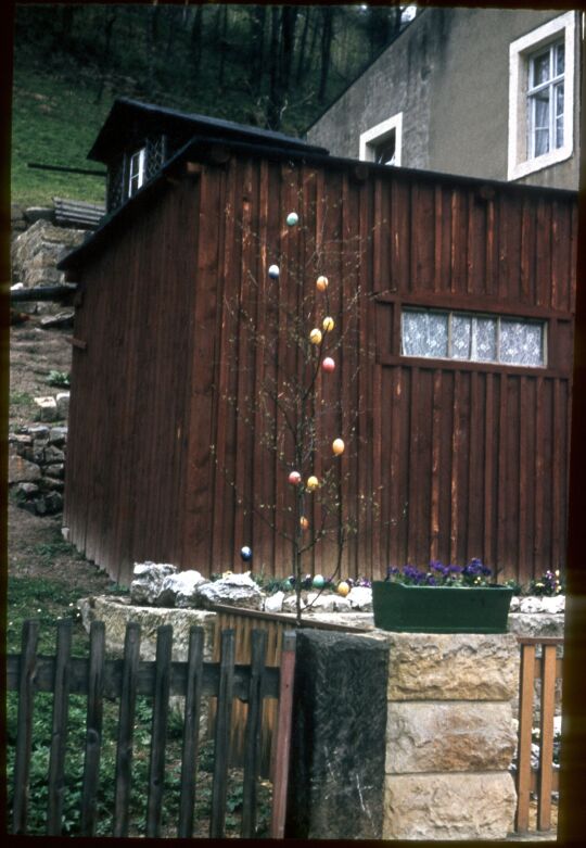 Baum, geschmückt mit Ostereiern am Plan in Porschdorf, Ostern 1957.