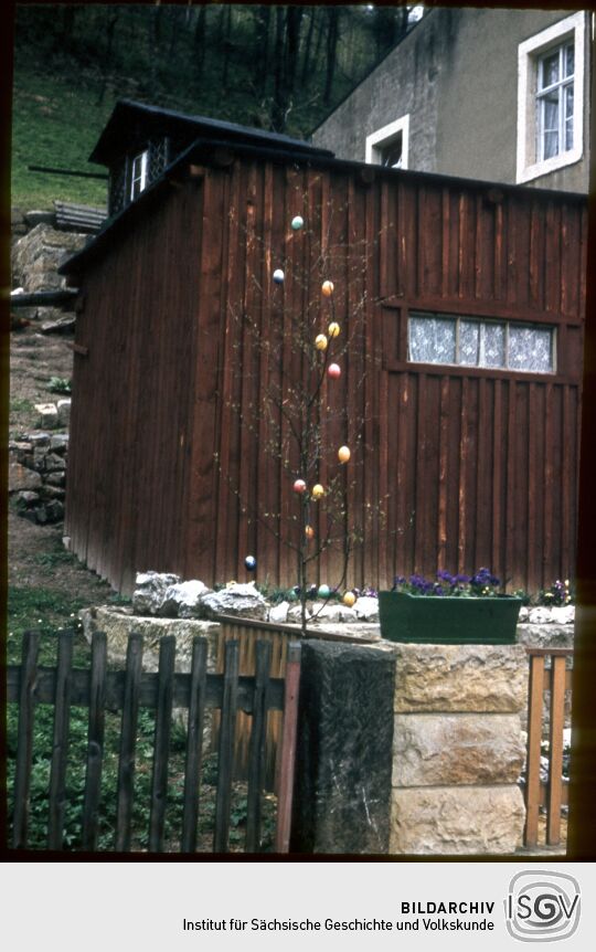 Baum, geschmückt mit Ostereiern am Plan in Porschdorf, Ostern 1957.