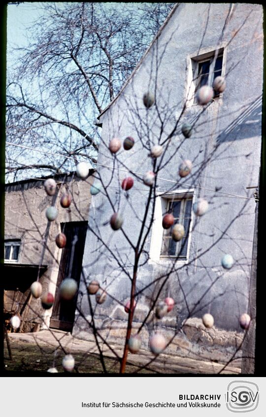 Baum, geschmückt mit Ostereiern in Neugraupa, Ostern 1957.