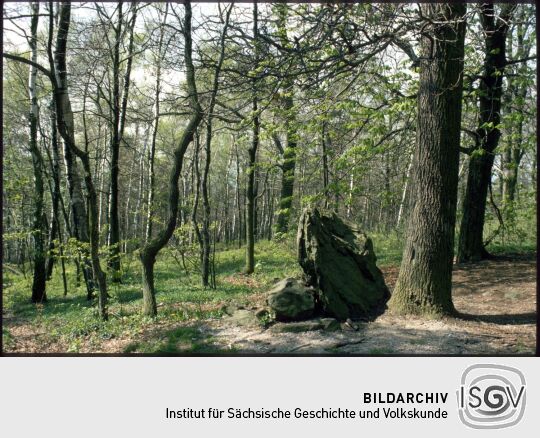 Felsen auf dem Keulenberg 1992