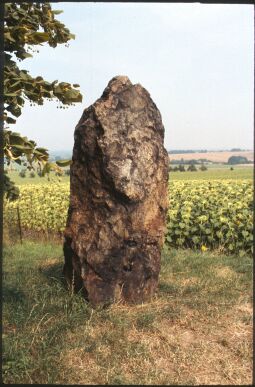 Bild: Monolith in Steudten
