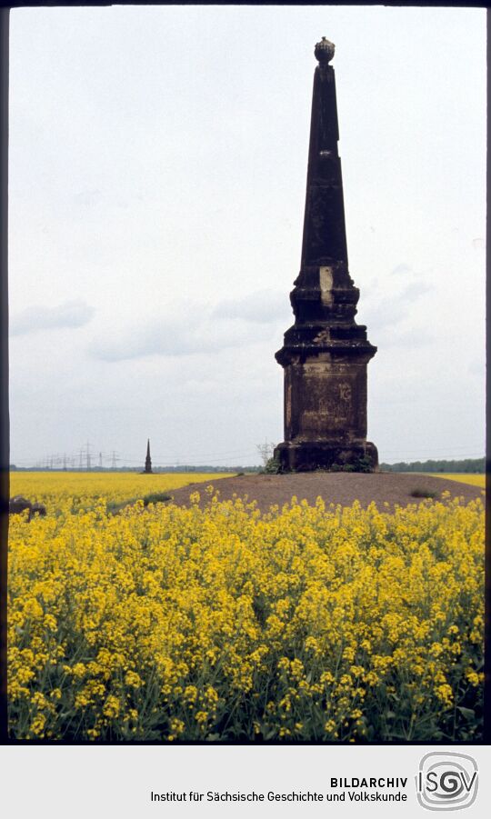 Obelisk in einem Rapsfeld bei Zeitenhain zur Erinnerung an das Zeithainer Lustlager 1730