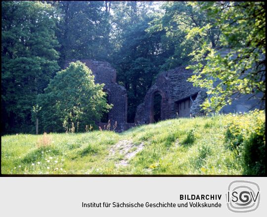 Ruine eines Gebäudes des Kloster Altzella