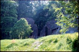 Bild: Ruine eines Gebäudes des Kloster Altzella