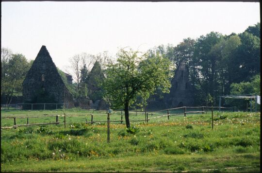 Ruinen des früheren Klosters Altzella bei Nossen