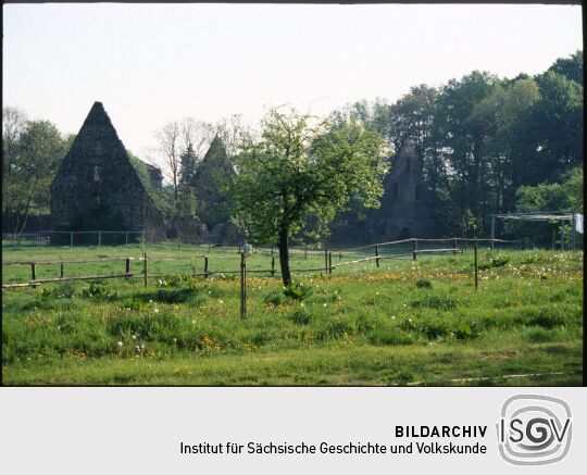Ruinen des früheren Klosters Altzella bei Nossen