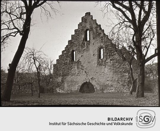 Ruinen des früheren Klosters Altzella bei Nossen