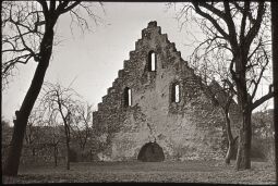 Bild: Ruinen des früheren Klosters Altzella bei Nossen