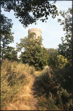 Bild: Albertturm auf dem Collmberg