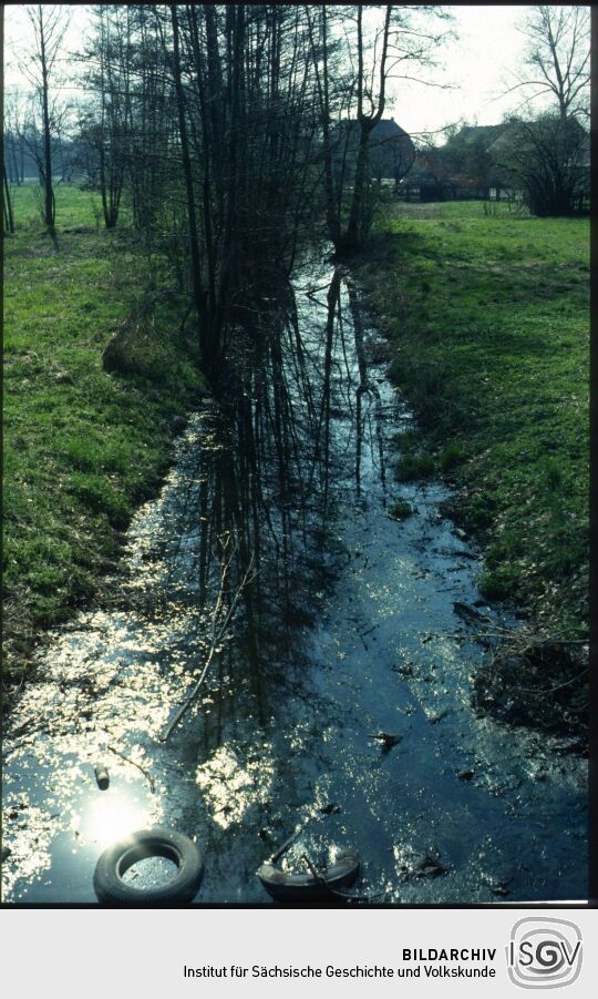 Gewässer Dreiskau bei Leipzig 1994