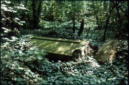 Bild: Grabmal auf dem Eliasfriedhof in Dresden