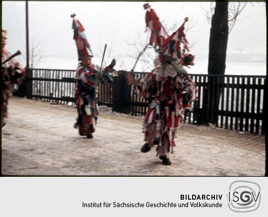 Schifferfastnacht in Postelwitz
