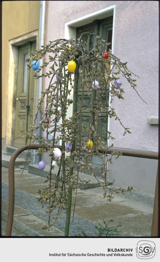 Osterbaum in Weißenberg