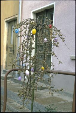 Bild: Osterbaum in Weißenberg
