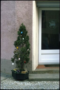 Bild: Osterbaum in Weißenberg
