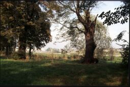 Bild: Ostragehege Dresden