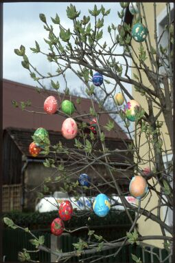 Bild: Österlich geschmückter Baum in Elstra 1997