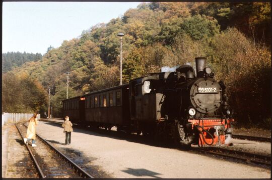 Zug der Weißeritztalbahn im Bahnhof Kipsdorf