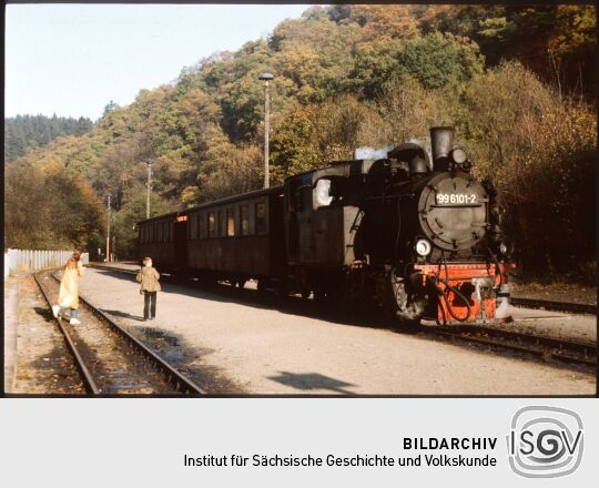 Zug der Weißeritztalbahn im Bahnhof Kipsdorf