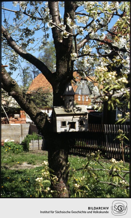 Vogelhaus an einem Kirschbaum in Obercunnersdorf