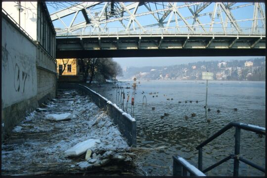 Hochwasser der Elbe unter dem Blauen Wunder