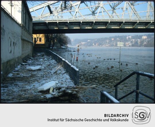 Hochwasser der Elbe unter dem Blauen Wunder