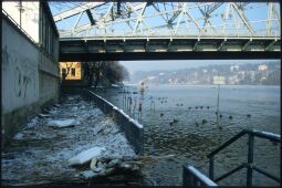 Bild: Hochwasser der Elbe unter dem Blauen Wunder