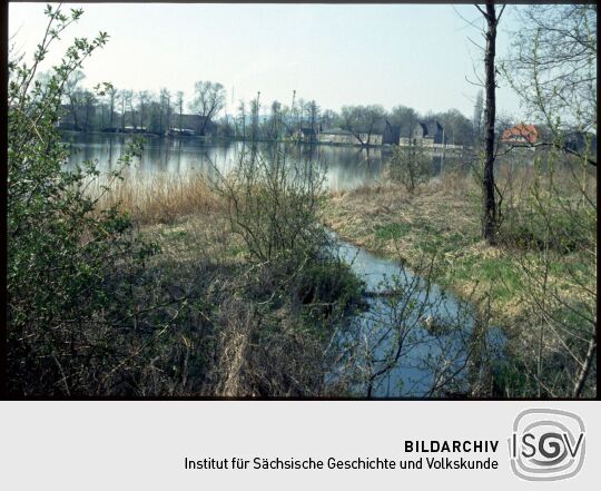 Blick über den Mühlteich in Rohrbach 1994