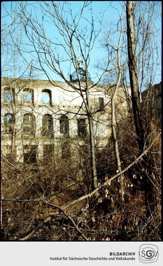 In der Ruine des Taschenbergpalais