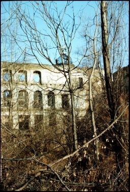 In der Ruine des Taschenbergpalais