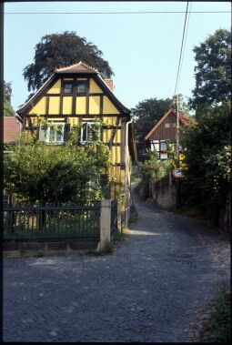 Bild: Blick durch den Oberwachwitzer Weg in Dresden-Wachwitz