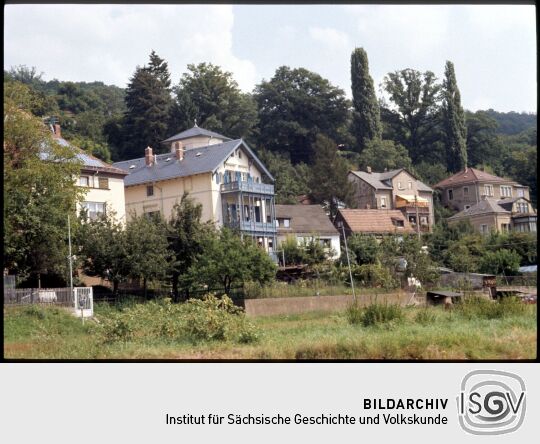 Blick auf Dresden-Wachwitz