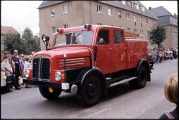 Bild: Festumzug zum Tag der Sachsen in Rochlitz 1995