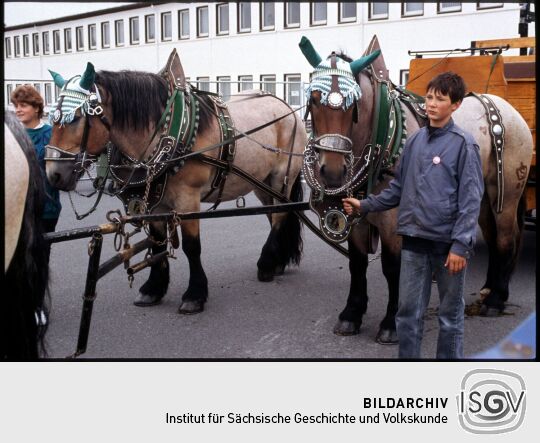 Fuhrwerk der Krostitzer Brauerei beim Tag der Sachsen