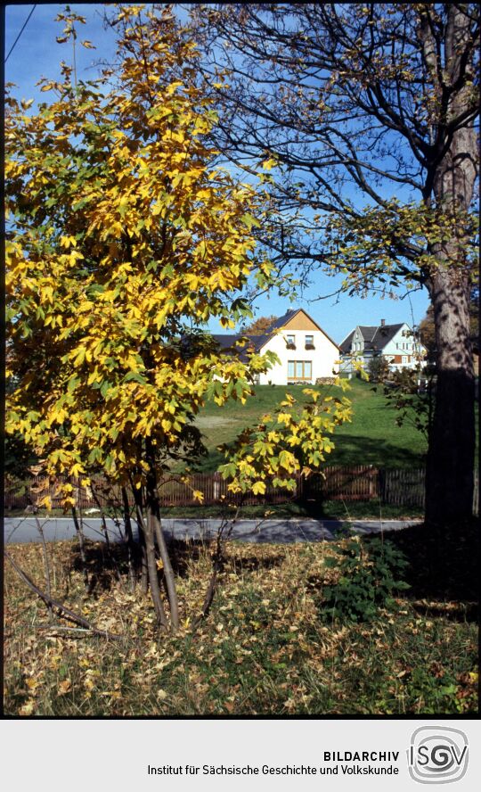 Ortsansicht von Landwüst