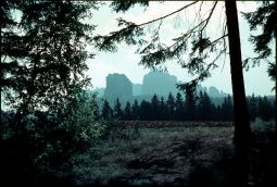 Bild: Sächsischen Schweiz