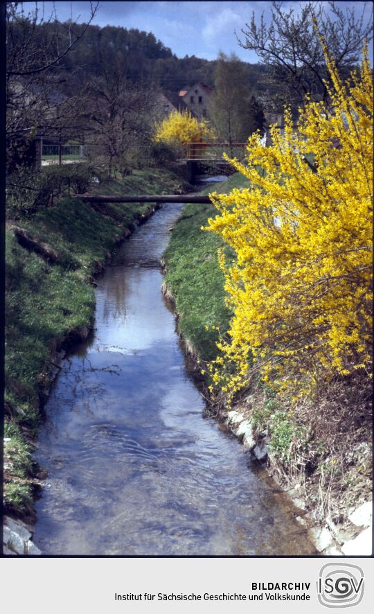 Hoyerswerdaer Schwarzwasser in Demitz-Thumitz