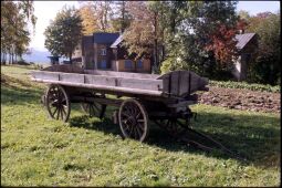 Bild: Anhänger in Landwüst